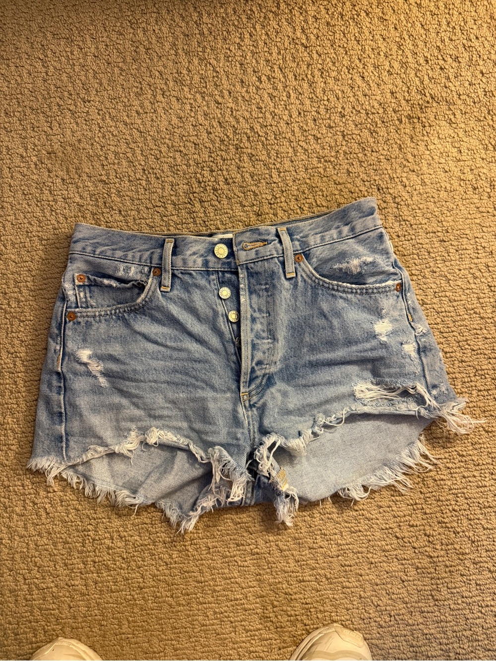 Agolde Shorts in Swampmeet